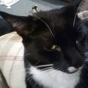 Meet your Posher, Shauna